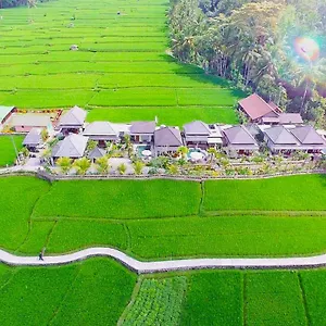 Jj And Ubud (Bali)